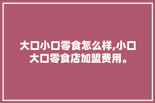 大口小口零食怎么样,小口大口零食店加盟费用。