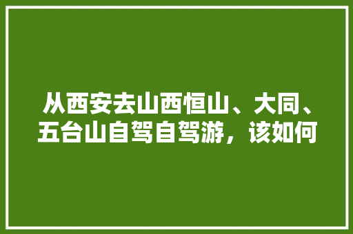 从西安去山西恒山、大同、五台山自驾自驾游，该如何规划路线,西安旅游攻略自由行路线推荐三日游。
