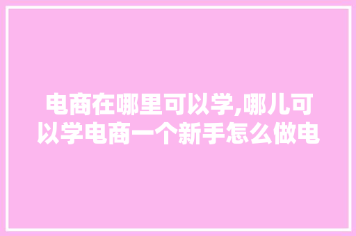 电商在哪里可以学,哪儿可以学电商一个新手怎么做电商运营。