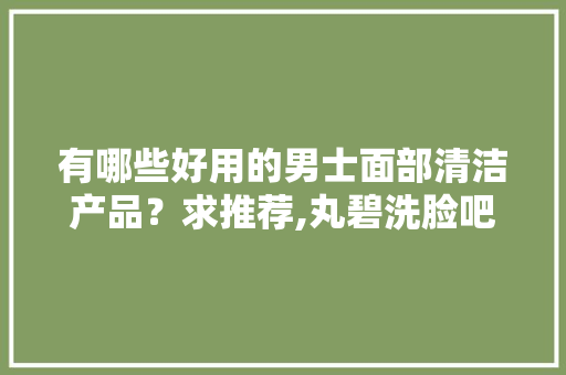 有哪些好用的男士面部清洁产品？求推荐,丸碧洗脸吧加盟费多少钱。 饮食技巧