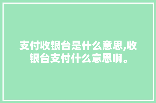 支付收银台是什么意思,收银台支付什么意思啊。