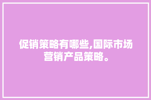 促销策略有哪些,国际市场营销产品策略。