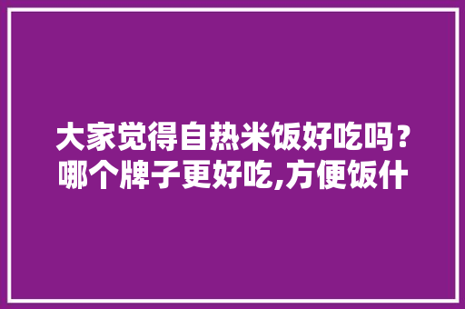 大家觉得自热米饭好吃吗？哪个牌子更好吃,方便饭什么牌子好吃又健康。