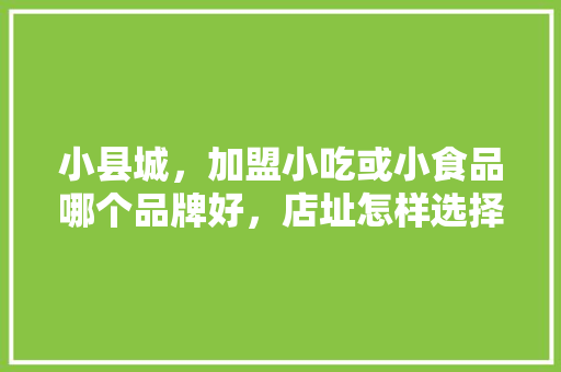 小县城，加盟小吃或小食品哪个品牌好，店址怎样选择,适合小县城开的加盟店小吃推荐一下。 饮食技巧