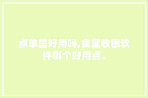点单星好用吗,食堂收银软件哪个好用点。