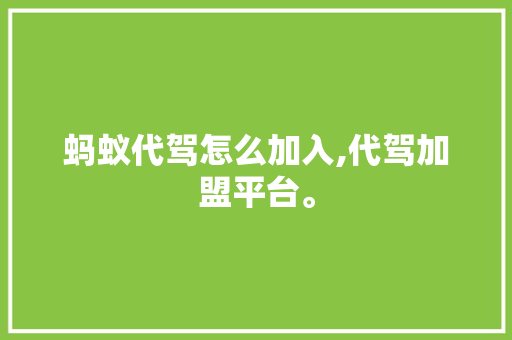 蚂蚁代驾怎么加入,代驾加盟平台。 健康生活