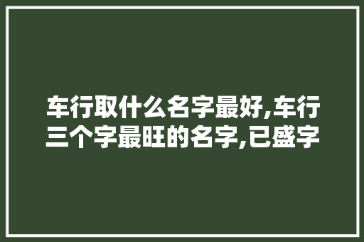 车行取什么名字最好,车行三个字最旺的名字,已盛字为主。
