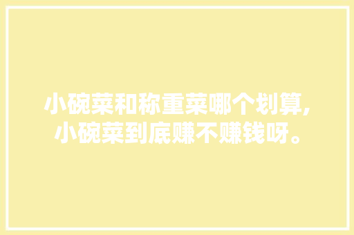 小碗菜和称重菜哪个划算,小碗菜到底赚不赚钱呀。