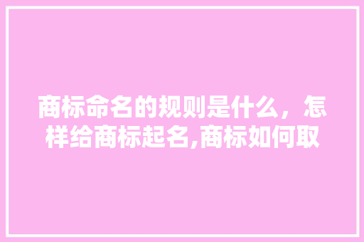 商标命名的规则是什么，怎样给商标起名,商标如何取名建议。