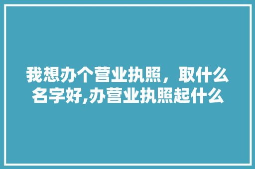 我想办个营业执照，取什么名字好,办营业执照起什么名字好一点。 身体保健