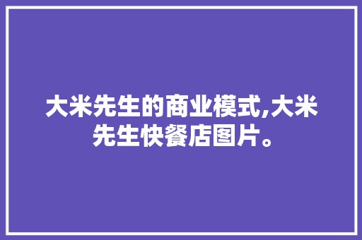 大米先生的商业模式,大米先生快餐店图片。