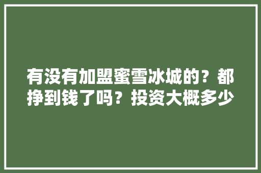 有没有加盟蜜雪冰城的？都挣到钱了吗？投资大概多少,县城加盟冰雪蜜城利润。