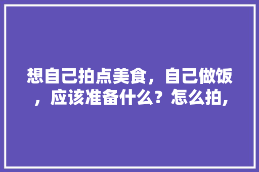 想自己拍点美食，自己做饭，应该准备什么？怎么拍,怎样收银过程视频雪糕。