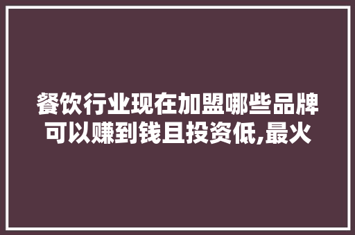 餐饮行业现在加盟哪些品牌可以赚到钱且投资低,最火的餐饮项目加盟。