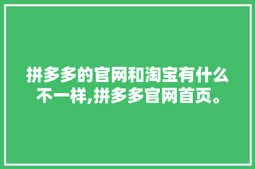 拼多多的官网和淘宝有什么不一样,拼多多官网首页。