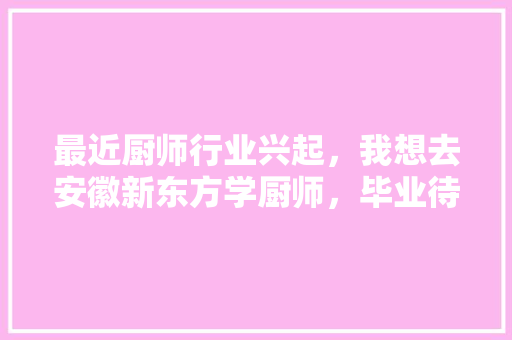 最近厨师行业兴起，我想去安徽新东方学厨师，毕业待遇怎么样,安徽新东方小吃培训班怎么样?。